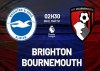 Tip bóng đá 26/02 02:30 Brighton vs Bournemouth: Giành điểm ở tổ Chim mòng biển